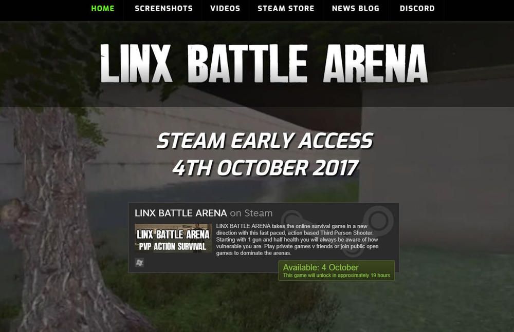 website designed for Linx Battle Arena