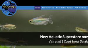 website designed for Discovery Aquatics